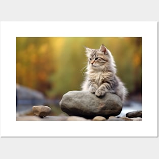 Cat Furry Pet Animal Tranquil Peaceful Posters and Art